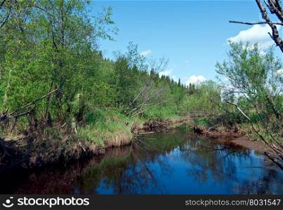 Spring on the river.Arkhangelsk oblast.Russian North.