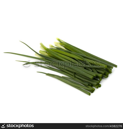 spring onion isolated on white backgroun close up