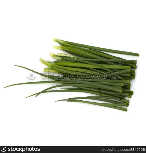 spring onion isolated on white backgroun close up