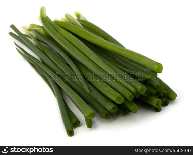 spring onion isolated on white backgroun close up