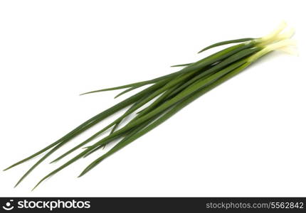 spring onion isolated on white backgroun close up