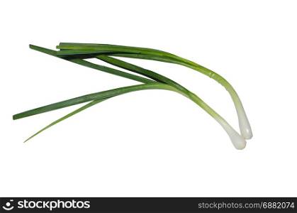 spring onion Isolated on White Background