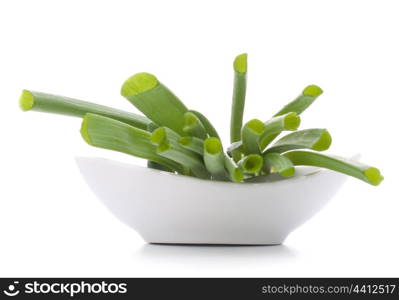 Spring onions in bowl isolated on white background cutout