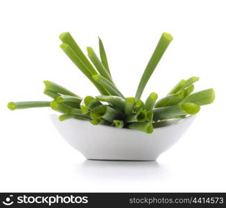 Spring onions in bowl isolated on white background cutout