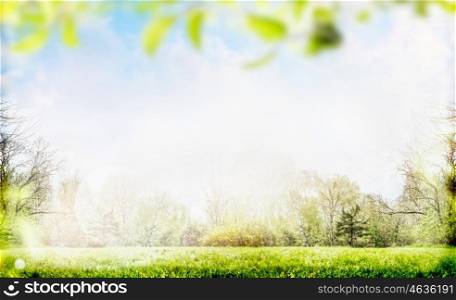 Spring or summer nature background with foliage,trees and lawn in garden or park