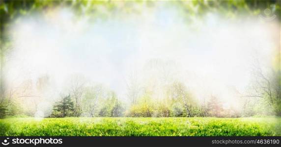 Spring or summer nature background with trees and lawn, banner