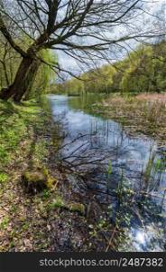 Spring picturesque pond in the former Orlovsky estates park, Maliivtsi, Khmelnytsky region, Ukraine.