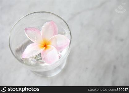 Spring pink flower on water