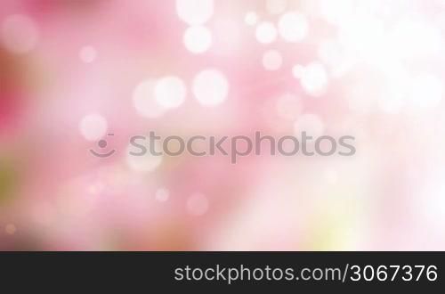 Spring pink motion background (seamless loop)