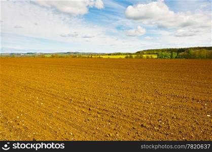 Spring Plowed Field- Belgian Landscape