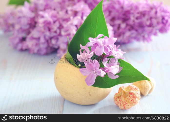 Spring purple lilac flower still life horizontal background. Blooming romance decoration macro template.