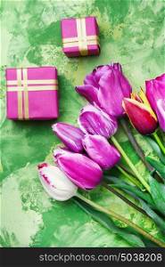 spring purple tulips