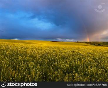 Spring rapeseed and small farmlands fields after rain evening view, cloudy sunset sky with colorful rainbow, rural hills. Natural seasonal, weather, climate, eco, farming, countryside beauty concept.