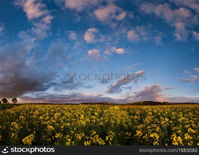Spring rapeseed evening dusk view, cloudy sunset sky with Moon and rural hills. Natural seasonal, weather, climate, countryside beauty concept high resolution scene.