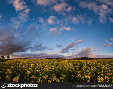 Spring rapeseed evening dusk view, cloudy sunset sky with Moon and rural hills. Natural seasonal, weather, climate, countryside beauty concept high resolution scene.