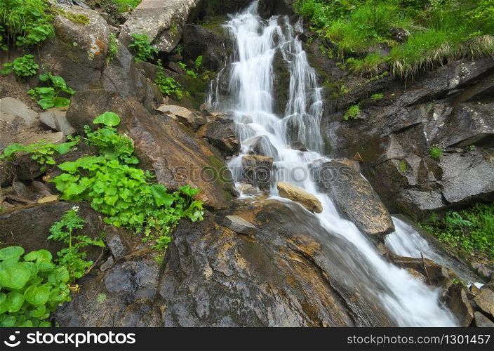 Spring rill flow in mountain. Nature composition.