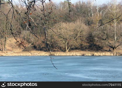spring river with melting of ice and forest. landscape with spring river with melting of ice and forest