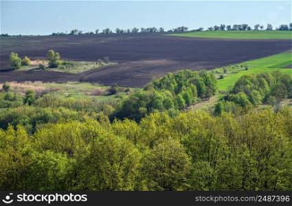 Spring rural landscape with fields, farmlands, village outskirts, flowering trees, hilly meadows. Chernivtsi region, Ukraine.