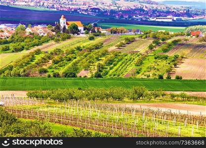 Spring rural landscape with green vineyards and town at background. Grape vineyards of South Moravia in Czech Republic. Velke Pavlovice town