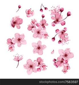 Spring sakura cherry blooming flowers, pink petals and branches set. Spring sakura cherry blooming flowers, pink petals and branches set. Illustration