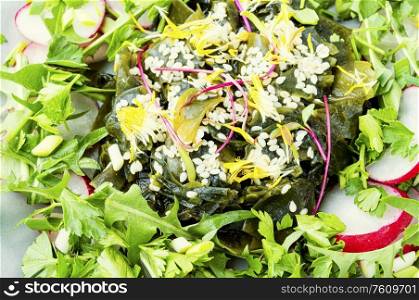 Spring salad of seaweed, dandelion leaves,radishes and sesame seeds.Food background. Salad with seaweed and greens