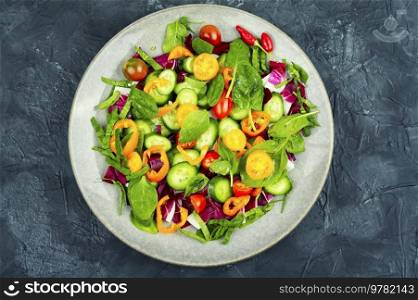 Spring salad of tomatoes, cucumbers, peppers and herbs.. Bright, colorful spring vegetable salad