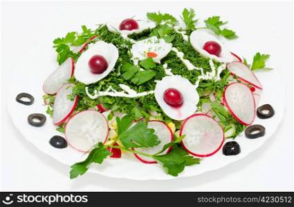 spring salad - vegetables with fresh radish and greenery
