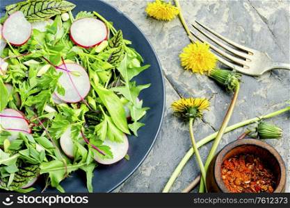 Spring salad with radish, nettle, sorrel and dandelion.Fresh salad plate with greens. Fresh green salad