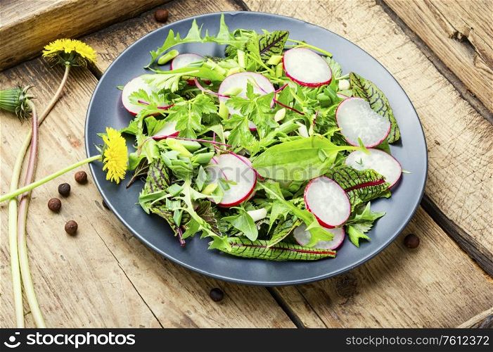 Spring salad with radish, nettle, sorrel and dandelion. Salad with herbs and radishes