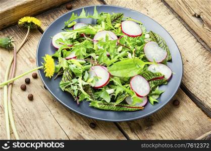 Spring salad with radish, nettle, sorrel and dandelion. Salad with herbs and radishes