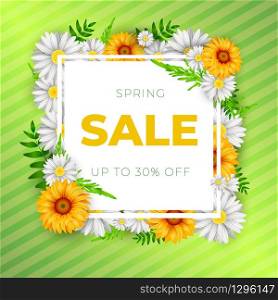 Spring Sale Banner with colorful camomile flower and white frame. Realistic vector Illustration for spring sales with discounts. Modern green background with realistic flowers.. Spring Sale Banner with colorful paper flower and black frame. Vector Illustration.