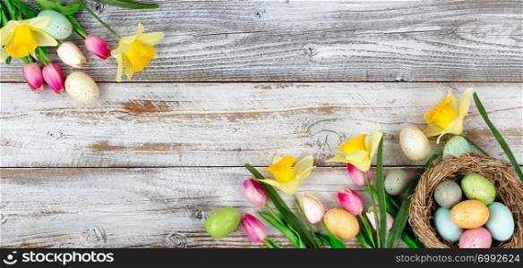 Spring season tulips and daffodils with colorful eggs on rustic wooden boards for Easter holiday background