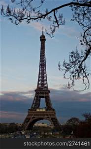 Spring shot of the Eiffel Tower with tree branches in the foreground.