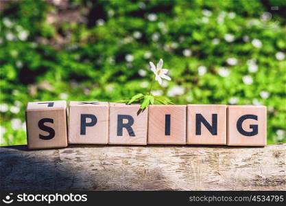 Spring sign on timber in a green forest