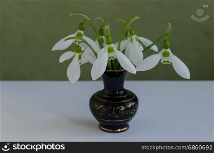 Spring snowdrop flower bouquet in porcelain vase at light background, Sofia, Bulgaria