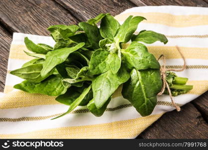 Spring spinach leaves on dark wooden background with kitchen cloth