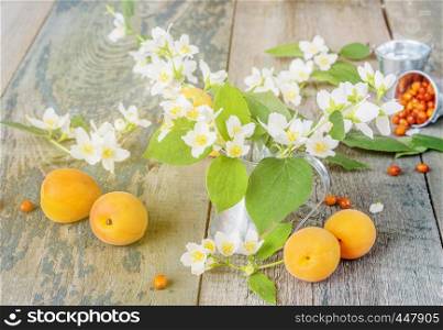 Spring still life with white jasmine flowers in a metal jug and ripe apricots on the old wooden boards