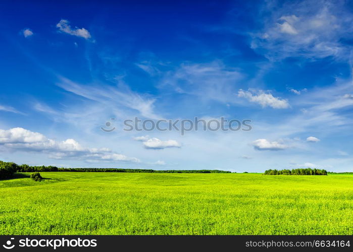 Spring summer background - green grass field meadow scenery lanscape with blue sky. Spring summer green field scenery lanscape