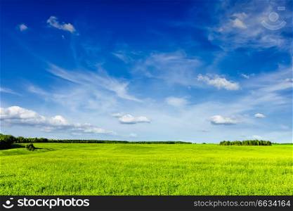 Spring summer background - green grass field meadow scenery lanscape with blue sky. Spring summer green field scenery lanscape