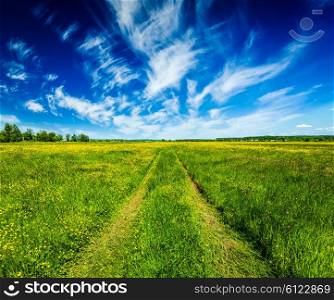 Spring summer background - rural road in green grass field meadow scenery lanscape with blue sky. Spring summer rural road in green field landscape