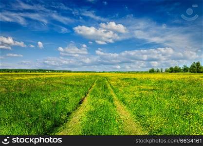Spring summer background - rural road in green grass field meadow scenery lanscape with blue sky. Spring summer - rural road in green field scenery lanscape