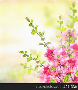 Spring summer nature background with Pink blooming bush, floral border