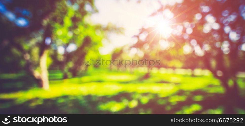 Spring sunlight blur background. Spring sunlight blur background. Abstract nature landscape. Spring sunlight blur background