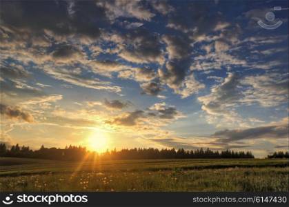 Spring sunset in the fields of Belarus