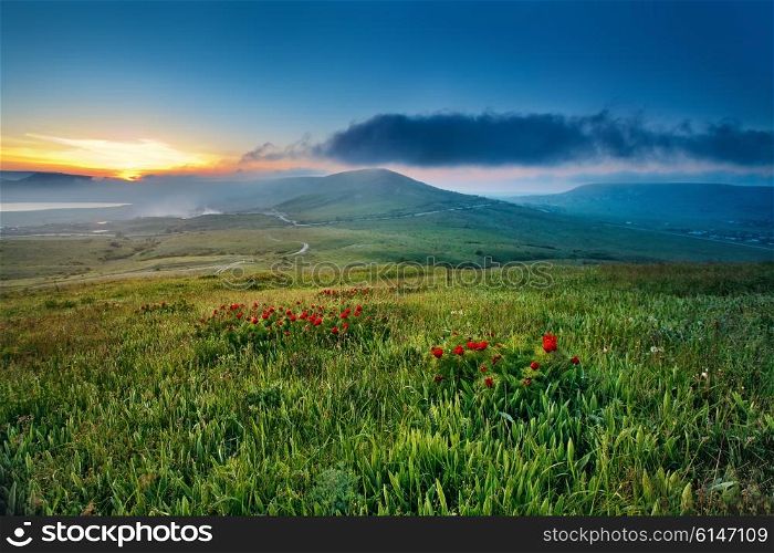 Spring sunset in the hills with red flowers blooming