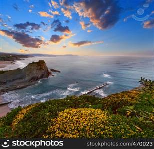 Spring sunset sea rocky coast landscape with small sandy beach and yellow flowers in front, Arnia Beach, Spain, Atlantic Ocean