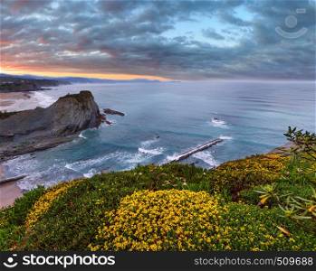 Spring sunset sea rocky coast landscape with small sandy beach and yellow flowers in front, Arnia Beach, Spain, Atlantic Ocean