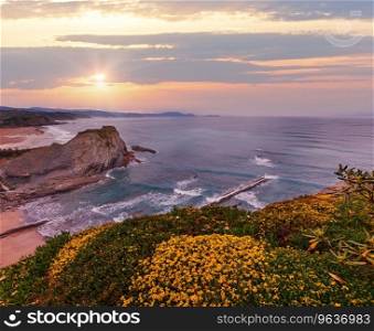 Spring sunset sea rocky coast landscape with small sandy beach  and yellow flowers in front. Arnia Beach, Spain, Atlantic Ocean.