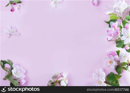 Spring tree flowers. Spring apple tree lesves flowers blooming twig on pink background, top view flat lay flower composition