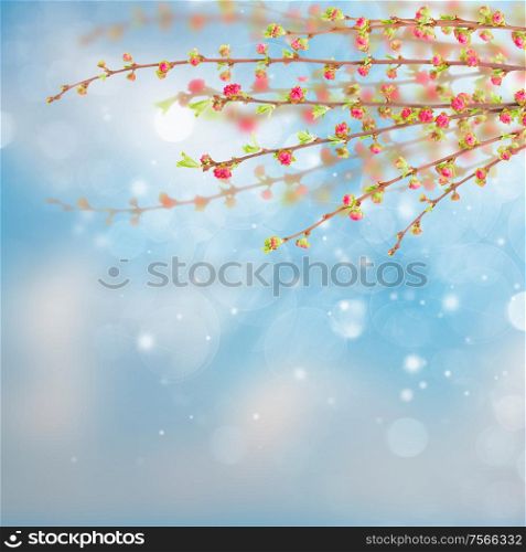 Spring tree with pink cherry flowers on blue sky background. Spring tree with pink flowers